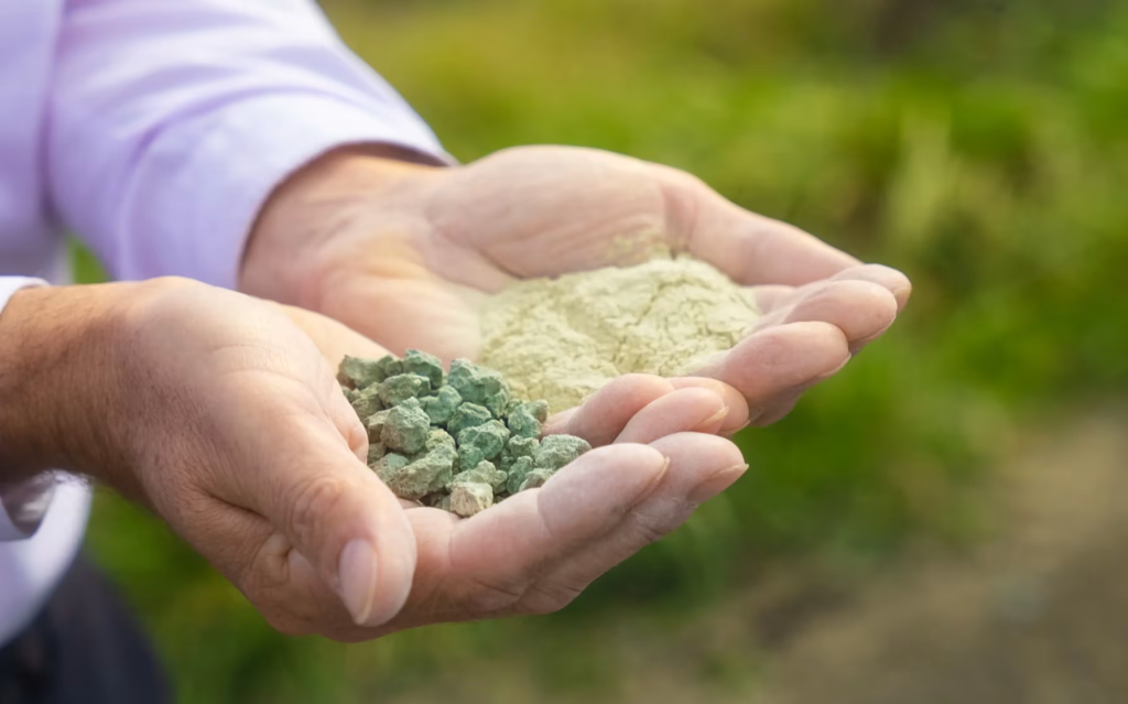 Deux mains ouvertes tenant des granulés d'argile verte et de la poudre d'argile verte fine, ingrédient naturel et minéral pour soins cosmétiques maison, fond végétal flou