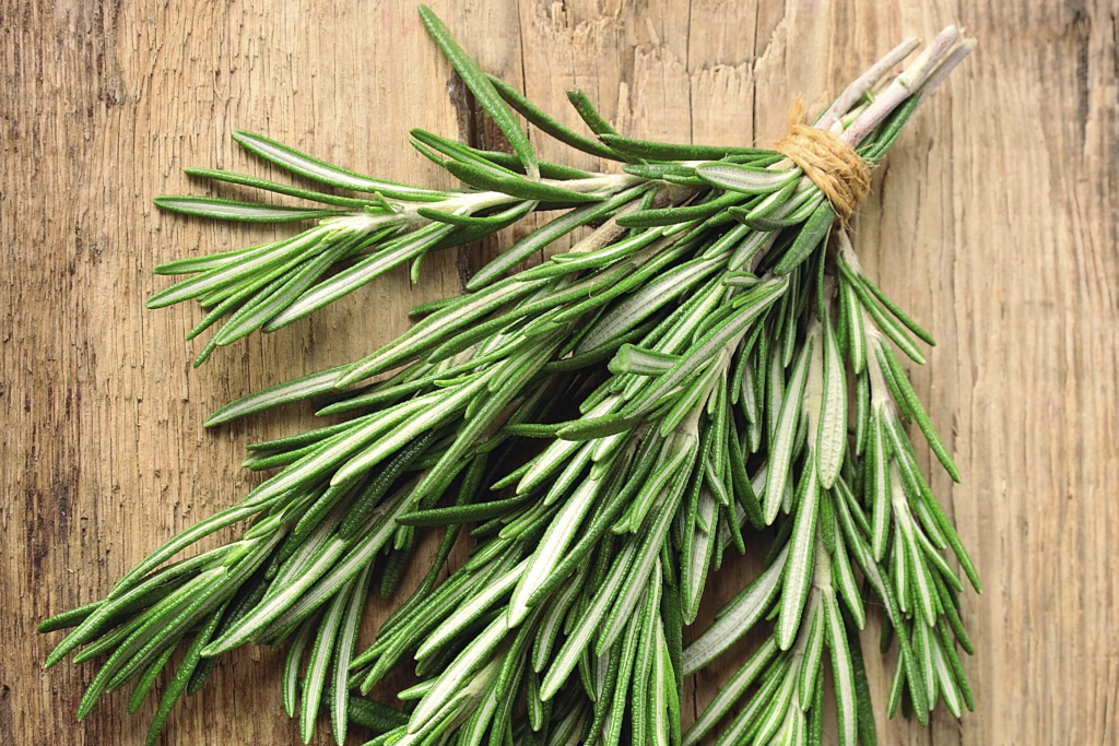Botte de branches de romarin frais liées par de la ficelle naturelle, posée sur une surface en bois brut, plante aromatique utilisée en cosmétique naturelle pour stimuler la pousse des cheveux