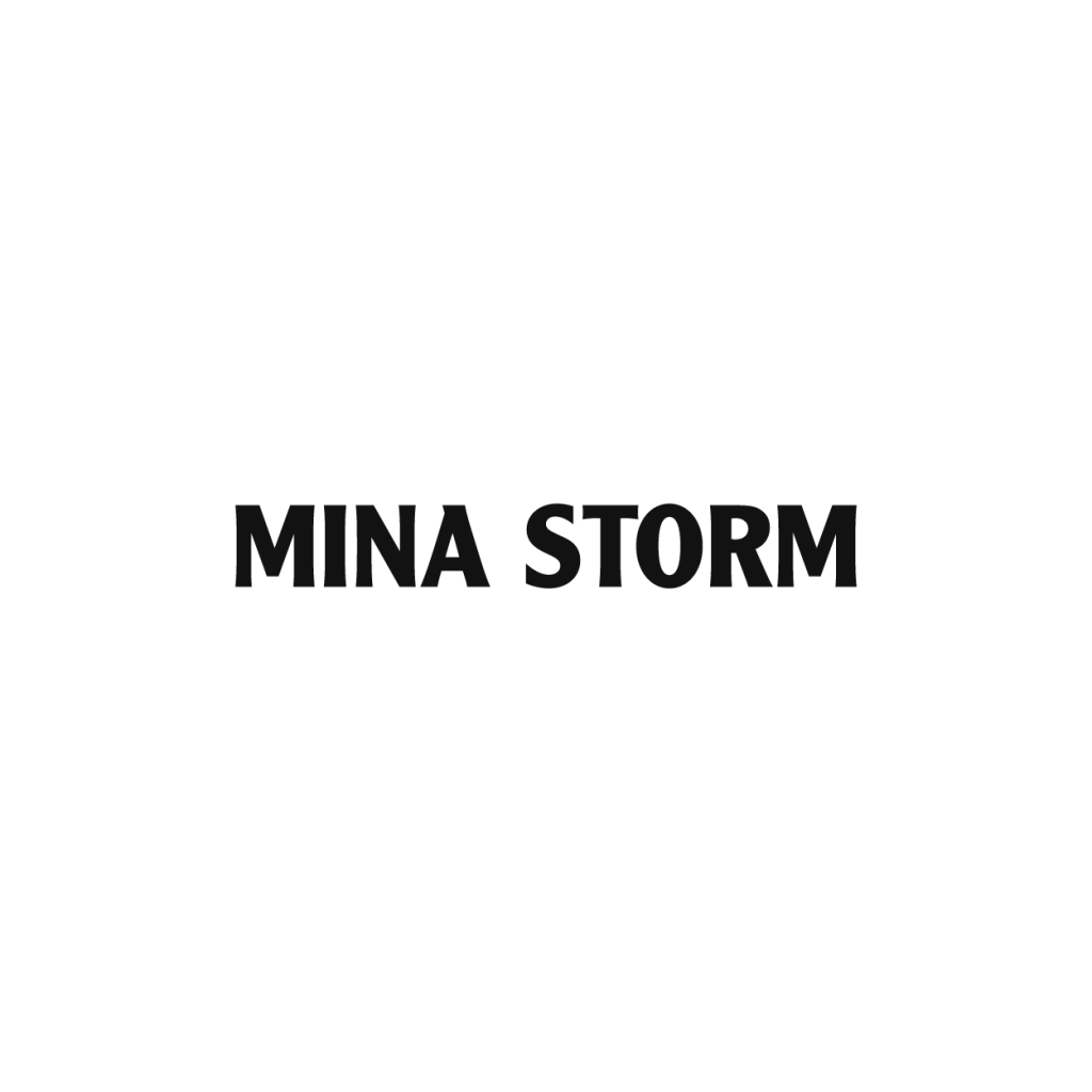 Logo Minastorm